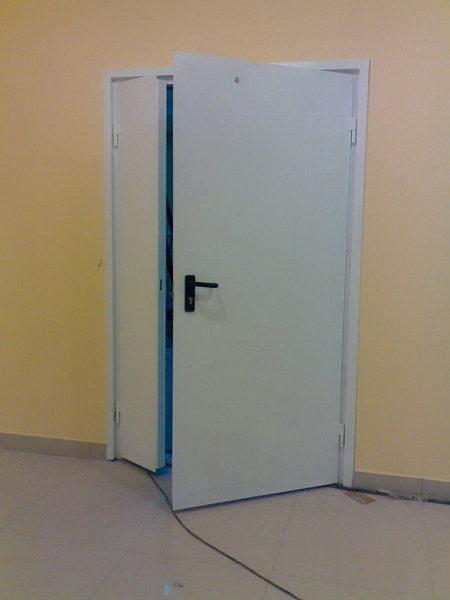 Огнезащитная дверь две створки в офисе